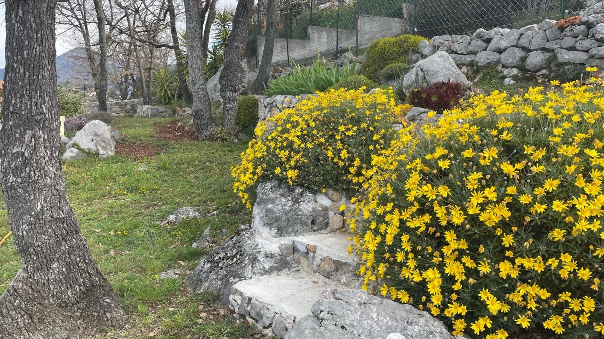 Levens Rez De Jardin, Entre Mer Et Montagne מראה חיצוני תמונה
